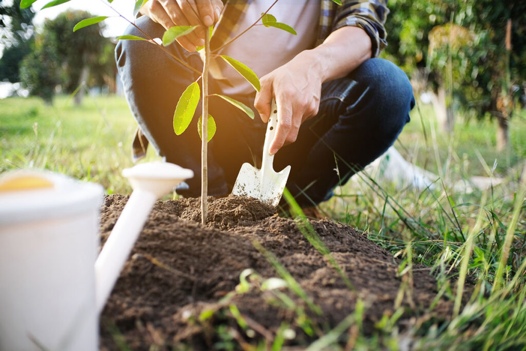 Planting trees on HaYovel volunteer trip